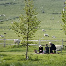 Glyndebourne Besucher im Garten mit Schafen