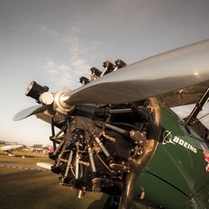 Goodwood Revival grünes Propeller-Flugzeug