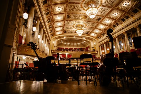Konzert der Wiener Symphoniker im Wiener Konzerthaus Konzert der Wiener Symphoniker im Wiener Konzerthaus
