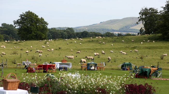 Glyndebourne Picknick Tisch und Schafe im Hintergrung