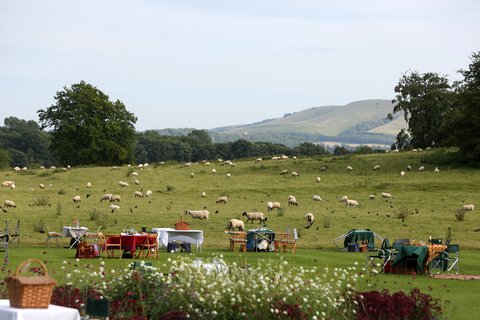 Glyndebourne Picknick Tisch und Schafe im Hintergrung